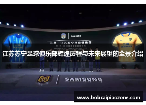 江苏苏宁足球俱乐部辉煌历程与未来展望的全景介绍