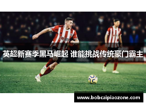 英超新赛季黑马崛起 谁能挑战传统豪门霸主