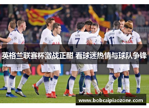 英格兰联赛杯激战正酣 看球迷热情与球队争锋